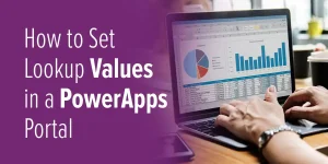 How to Set Lookup Values in Power Apps Portal